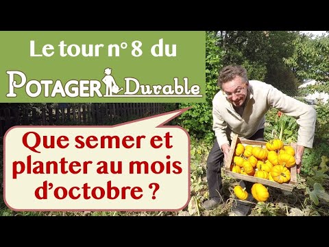 , title : 'Que semer et planter au mois d'octobre au potager ?'