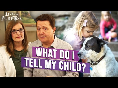 How To Help My Child Deal With The Loss Of A Pet