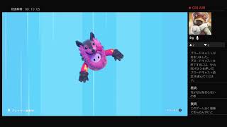 ちょっとだけfallguysしてあとはエペ