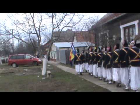 calusari la sicula arad