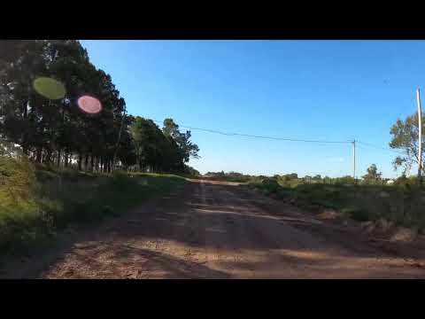 ¿Querías paz? Acá tenés 44 minutos de cielo, campo y lofi argentino 🎶🌤️