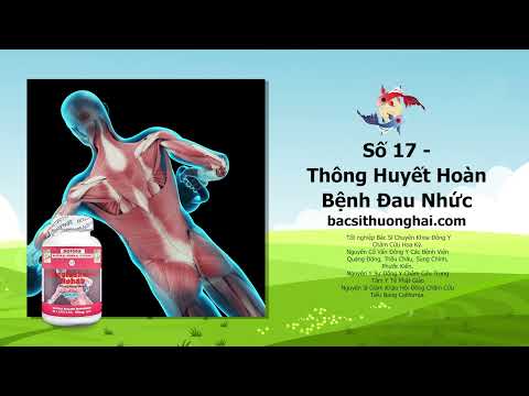 BỆNH ĐAU NHỨC | Bác Sĩ Thượng Hải | Sức Khỏe Đời Sống | Số 17 - Thông Huyết Hoàn (Phần 1)