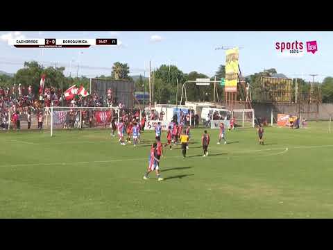 TORNEO REGIONAL - CACHORROS 4   BOROQUIMICA 2