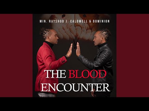 Nothing but the Blood (Live) (feat. Nikki L. Ross)