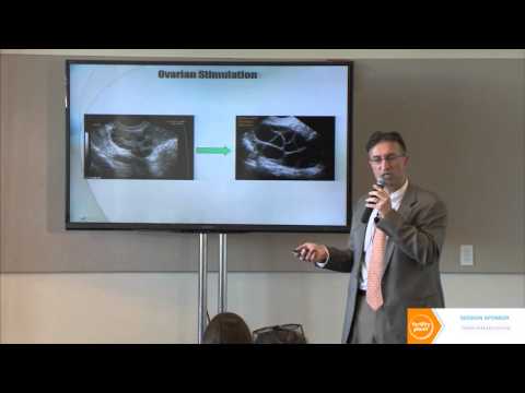 The Egg Donation Process - A Practical Guide