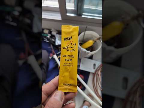타이거모닝진저샷