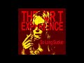 The Mr. T Experience - So Long Sucker 7"