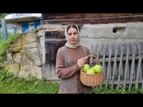 NAINEN ASUU YKSIN VUORISSA. OMENAHALLON JA PAnnuKAkkujen keittäminen JUUSTOLLA