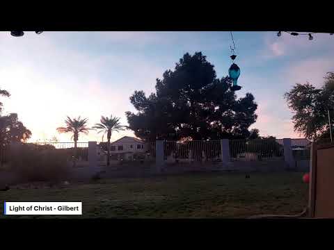 Morning Devotions 11/17/25: 1 Corinthians 13, Proverbs 17, Matthew 13