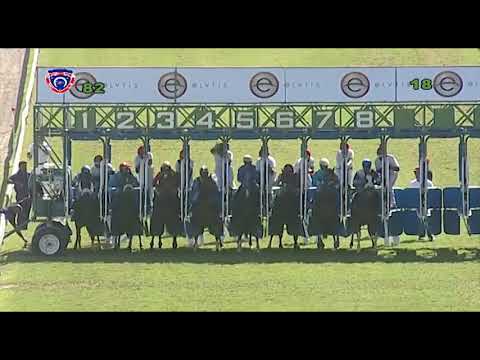 RM8 R2 - Pride Rock(K.Ramsamy)