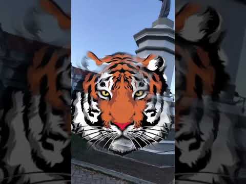 VT KEBRADEIRA, MC MORENA - CACHORRO CAPA PRETA