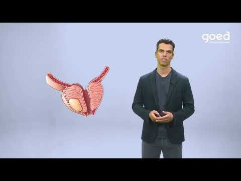 Prostaat Problemen - dr Pieter Uvin