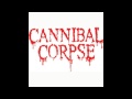 Cannibal Corpse - A Cauldron of Hate (8-bit Remix ...