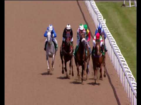 Wolverhampton 10th June - www.omanair.com Handicap Stakes 0-75