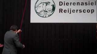 preview picture of video 'Opening Dierenasiel Reijerscop (2)'