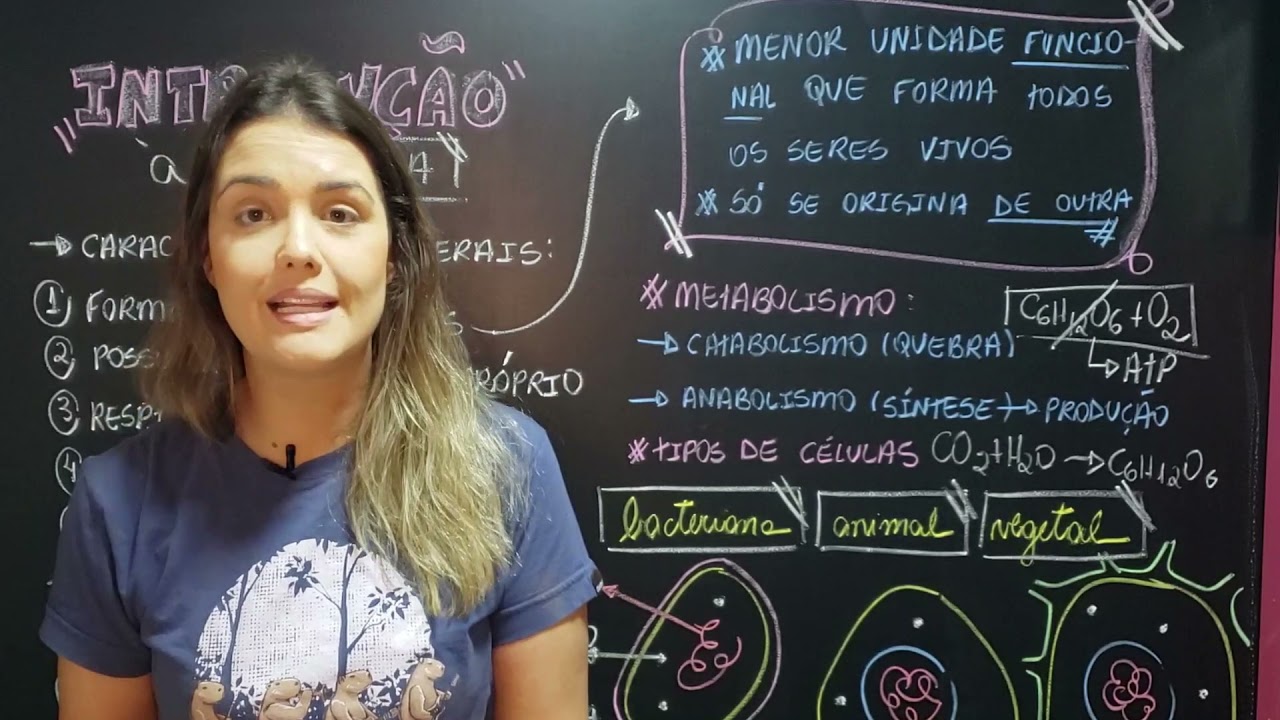 Introdução à Citologia | Células Eucarionte x Célula Procarionte 🙉