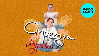 papadoch - Стрекоза и муравей (Single 2025)