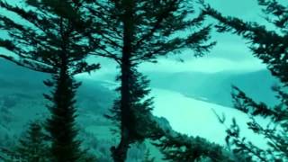 Golden Earring - Going To The Run