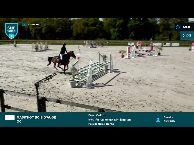 Jument polyvalente, courageuse pour amateur