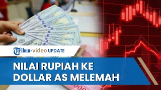 Nilai Tukar Rupiah ke Dollar AS Melemah, Pengamat Sebut Nilai Rupiah akan Berfluktuasi dan Menguat