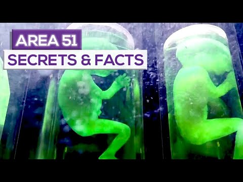 Hundreds Of Stars Have Disappeared From The Sky Where Have They Gone