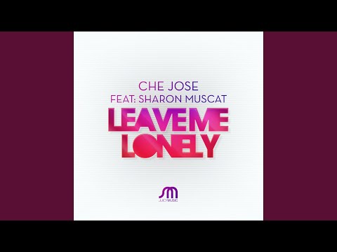 Leave Me Lonely (Dustin Robbins Boom! Mix)