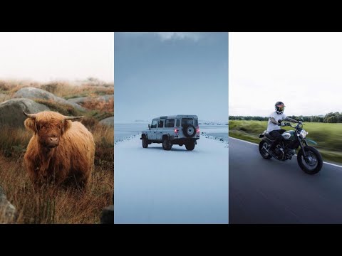 FREE DNG (Preset) - How to Get The Soft Faded Look like @andrewjackson__. Lightroom Wildlife Editing