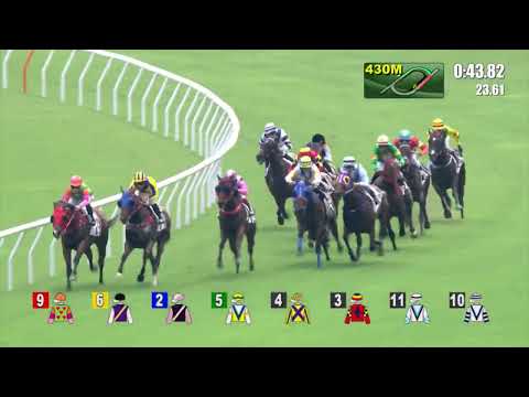 1/10/2022 (57) Beauty Tycoon - A Badel