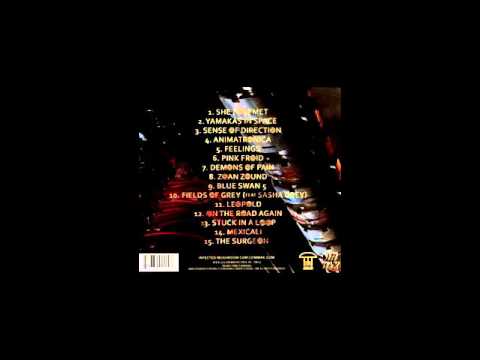 Infected Mushroom - Leopold