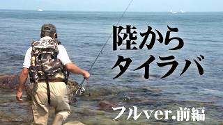 タイ・コチ