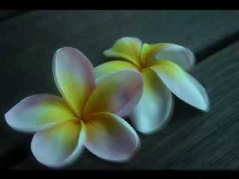 DJ Wallis one ft tic tac // A zoukéé ..............@@ ofa atu @@