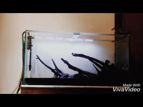 AQUASCAPE NATURAL STYLE