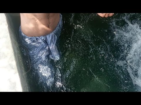 New Amazing Tubewell Swimming Vlog in village // Swimming Videos