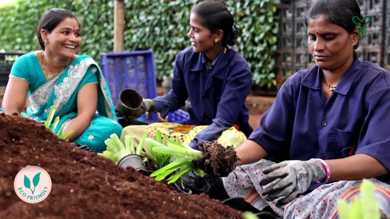 Unlocking the Benefits of CocoPeat | The Ultimate Guide to Using Coconut Coir in Your Garden