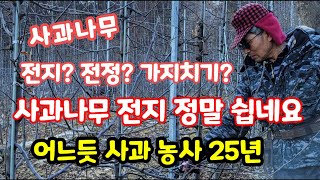사과나무 전지 전정 가지치기 방법 홍로 상세 2022년  [사과재배방법]