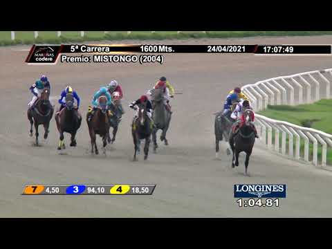 210424 c05 BLUE POINT