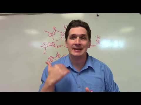 Kinetic vs. Thermodynamic Products: The mechanism