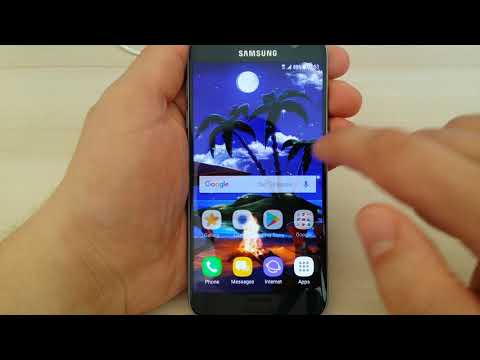 Tropical Beach at Night Live W Video