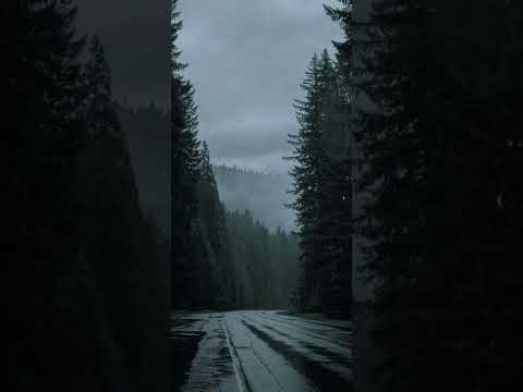 The Downtown Fiction - I Just Wanna Run (Slowed ♡ Reverb)