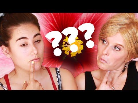 私のおっぱいは普通？ (Are My Boobs Normal?)