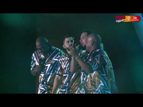 Cómo Podré Disimular, Grupo Niche