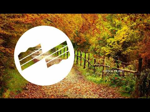 Veysel ft. Luciano - Meine Gang (Remix) prod. DMS Beatz