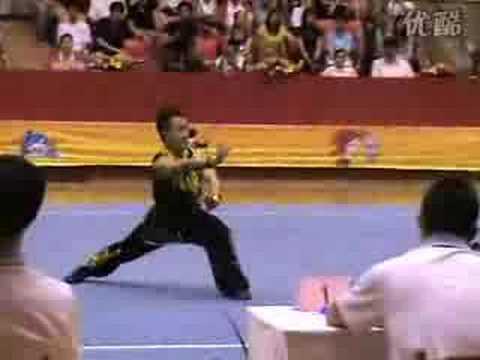 2008年全国武术锦标赛