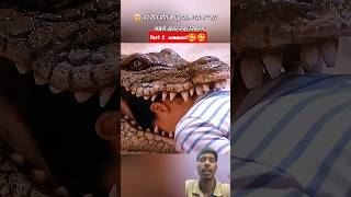 Download lagu 🤯🤯What did this crocodile do to her? 😱🙀🤯🤯 Chilling #movie #original mp3