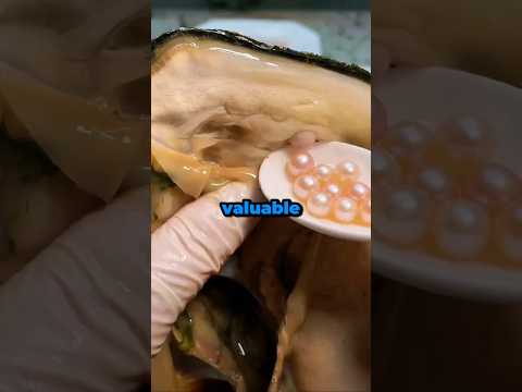 How Pearls Are Really Made | The Secret Behind Their Beauty