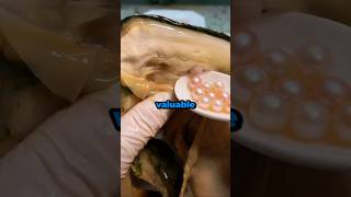 Download lagu How Pearls Are Really Made | The Secret Behind Their Beauty mp3 Download lagu How Pearls Are Really Made | The Secret Behind Their Beauty mp3