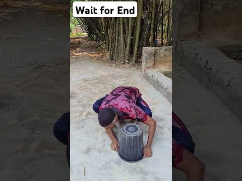 Fun and comedy video #546#shorts #viralshorts #comedy #funny #funandcomedy #trendingshorts