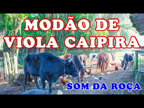 VIOLA CAIPIRA MANDA NO SOM DA ROÇA | MODA RAIZ MANDA NAS COISA NOSSA