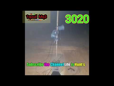 1 koel sound number 1 2022