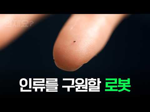 과학도 콘텐츠다… 유튜브 'SEIZE', MZ세대 겨냥한 미래형 콘텐츠 주목